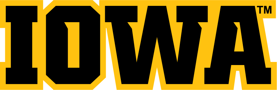 Iowa Hawkeyes 2012-Pres Wordmark Logo DIY iron on transfer (heat transfer)